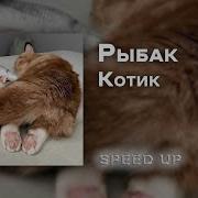 Alexander Rybak Котик Speed Up