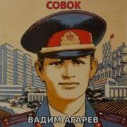 Совок 3 Агарев