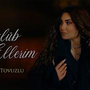 Sebnem Tovuzlu Nefes