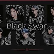 Black Swan Tiktok Version