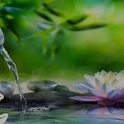 Relaxing Piano Music Sleep Music Water Sounds Relaxing Music Meditation Music